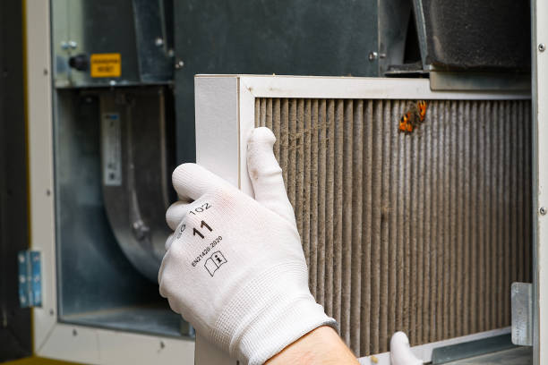 Best Home Air Vent Cleaning  in Adamsville, TN